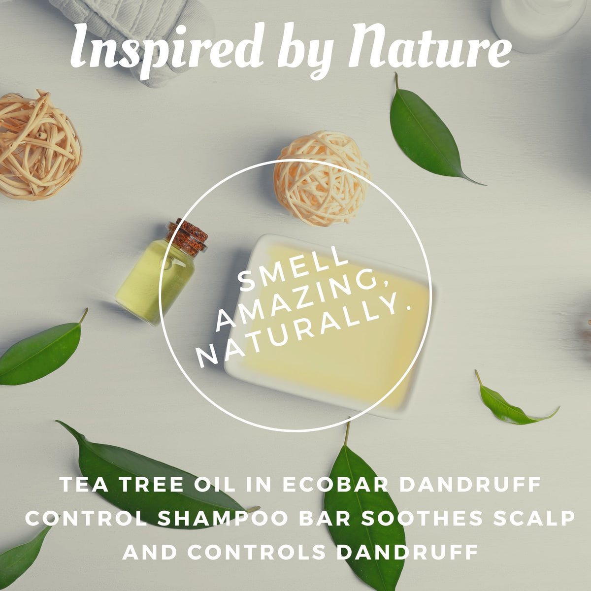 Shampoo Bar Dandruff Control Ecobar SG Natural Affordable