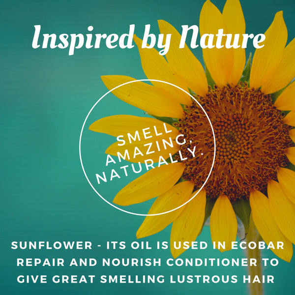 Repair and Nourish Conditioner Bar