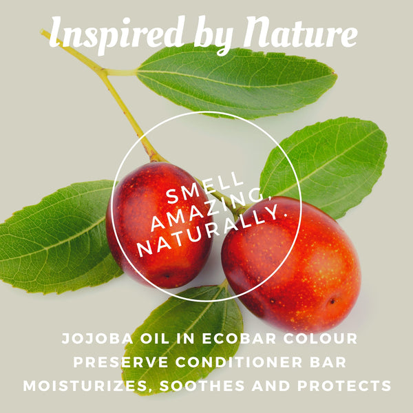 Color Preserve Conditioner Bar